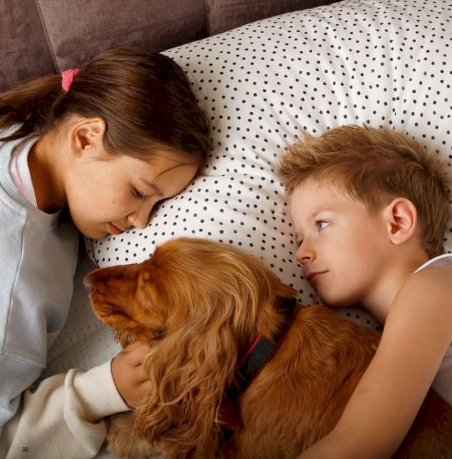 Sembella - Clever 100x200