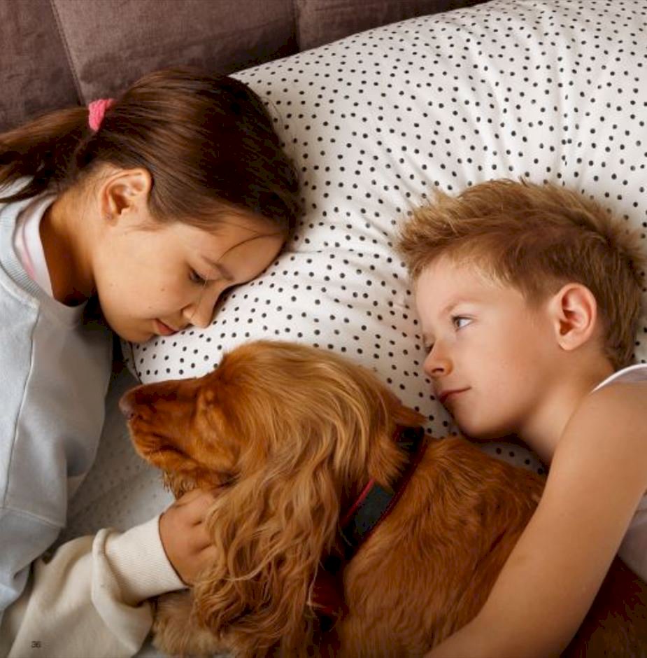 Sembella - Cupido 200x200