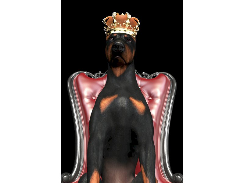 OBRAZ DOG IN CROWN 80X120
