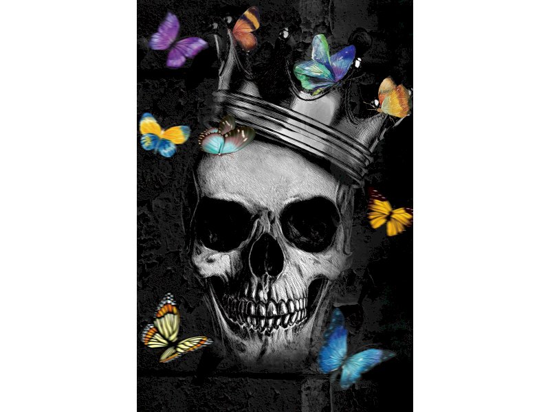 OBRAZ SKULL I 80X120